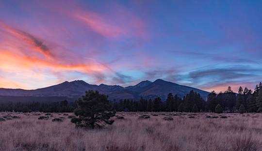 Alpine & Nutrioso Real Estate & Homes for Sale
