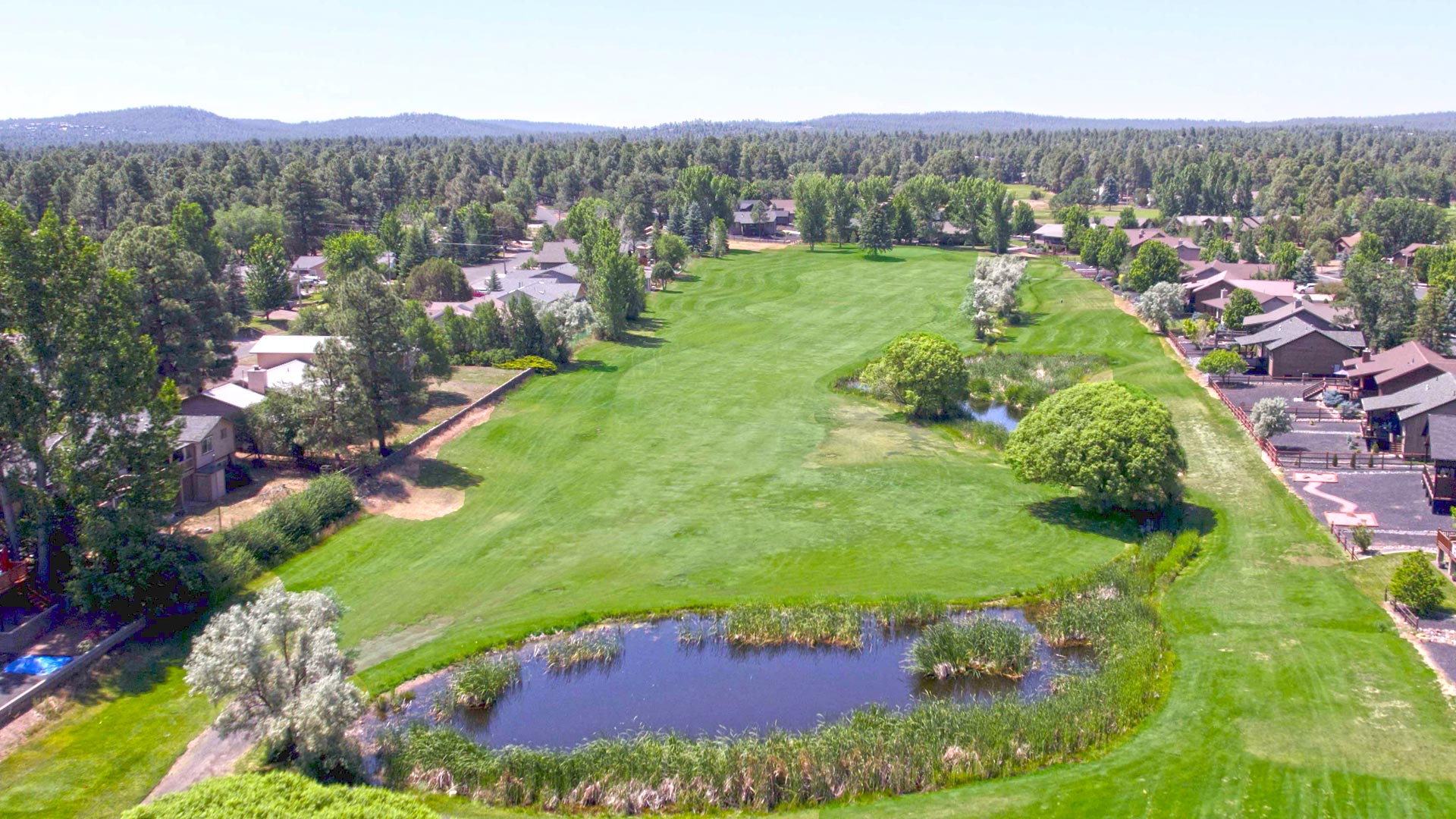 Bison Ridge community, Show Low AZ