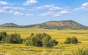 Concho & Vernon Real Estate & Homes for Sale