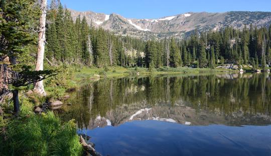 Forest Lakes AZ real estate