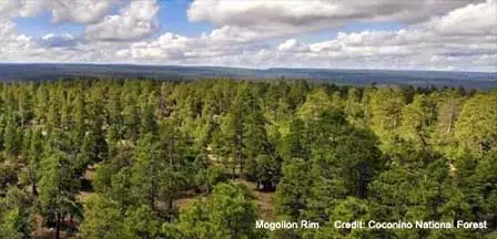 Heber-Overgaard Real Estate & Homes for Sale
