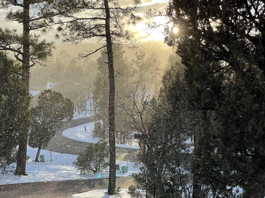 Snow Creek homes — homes and real estate in the White Mountains, AZ